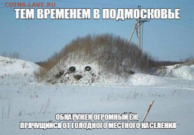 Ну а теперь про Украину - DDlqhZFuZUE