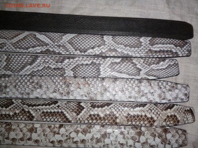 Изделия из кожи крокодила и питона. - P1050653.JPG