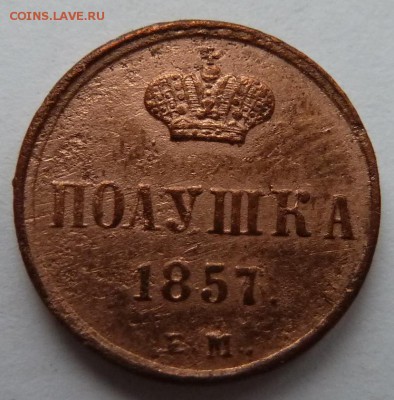 полушка 1857 (7 передатировка из 6) до 1.12.14 (22.00 мск) - полушка_рев