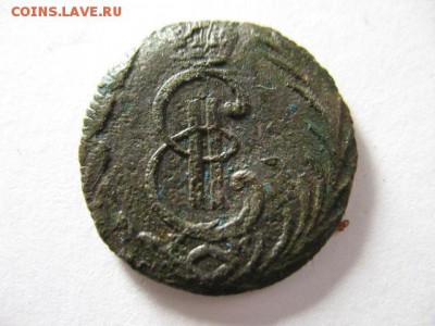 денга 1771КМ сибирская до 30.11.2014 22-00мск - 3 002