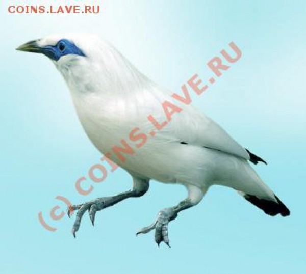 Животные на монетах - balijskij_skvorets[1]