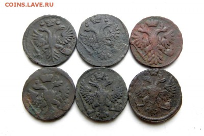 денга 1731,36,39,40,48,49 г. до 30.11.14. в 22.00 мв - PB120122.1