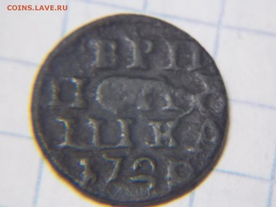 Полушка 1720г. ВРП - DSCN2857.JPG