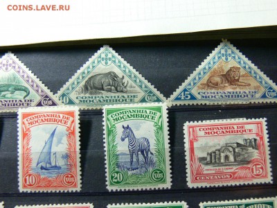 Марки МОЗАМБИК КОЛОНИАЛЬНЫЙ. Звери. АВИА чистые. 28.11 - P2020042.JPG