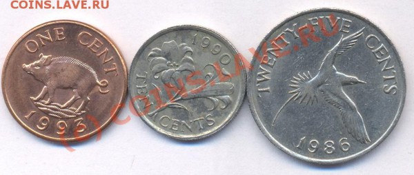 3 Бермуды. Сборкый. До 6.05.10 г.21-00 МСК. - Бермуды 1