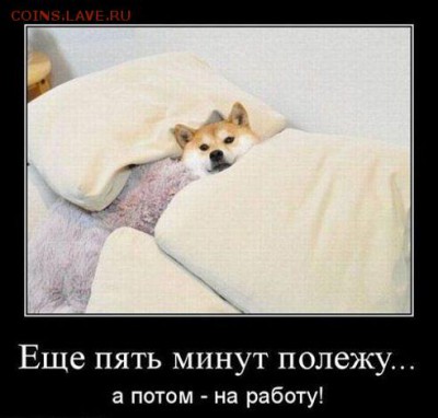 делает - прямо сейчас !!! - getImage (2)