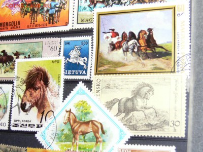 Марки с ЛОШАДЬМИ. МНОГО часть-2. 29.11 - P2020082.JPG