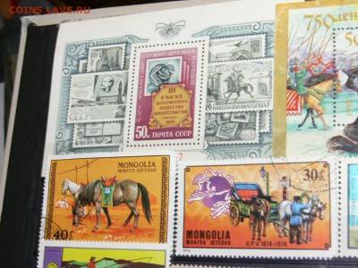 Марки с ЛОШАДЬМИ. МНОГО часть-2. 29.11 - P2020080.JPG