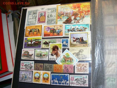Марки с ЛОШАДЬМИ. МНОГО часть-2. 29.11 - P2020079.JPG