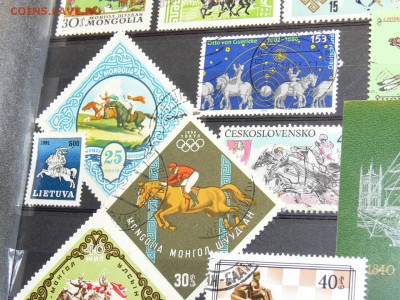 Марки с ЛОШАДЬМИ. МНОГО часть-3. 29.11 - P2020092.JPG