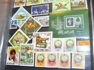 Марки с ЛОШАДЬМИ. МНОГО часть-3. 29.11 - P2020089.JPG