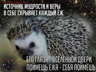 Ну а теперь про Украину - VOL8FGgfOFw