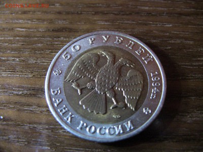 КК 1994 Джейран  до 03.12.2014 22.00 - IMG_0550.JPG