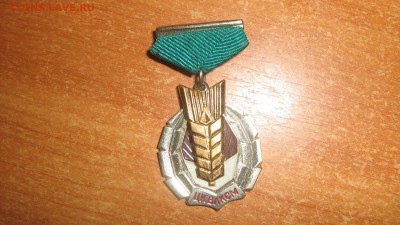 Знак ЦК ВЛКСМ Золотой Колос (тяж.мет. ММД) - IMG_1478[1].JPG