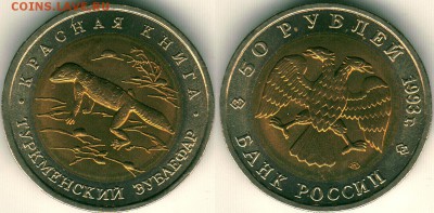 КК-93, эублефар с 200р, короткий! - до 22-00мск 01.12 - kk-93-eub
