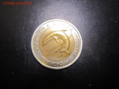 КК - дельфин в отличном состоянии до 4.12 22.00 мск - IMG_6904