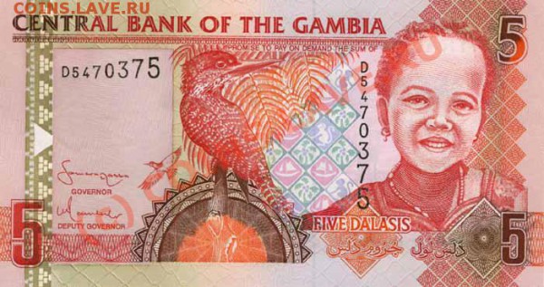 Животные на банкнотах - Gambia-2006-5GMD-obs