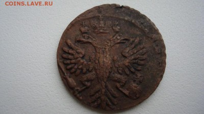 Деньга 1730 и 31г. - imagшщоо