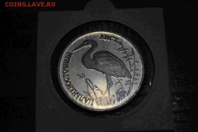 1 Рубль 1995г. Дальневосточный аист - DSC_0435_1 (Копировать)