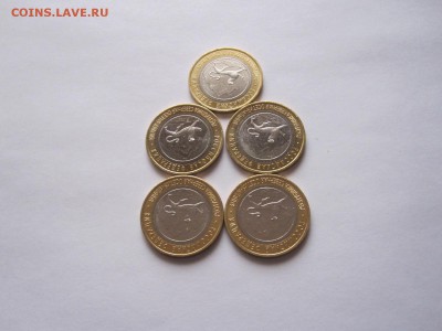 Алания гурт Сочи из мешка 5 штук 03.12 22:10 - IMG_5033.JPG