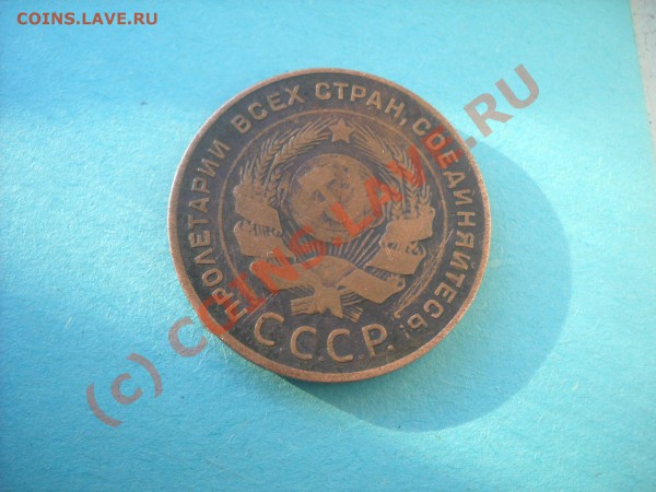 1 коп. 1925 и 5 коп 1924 - огород 010