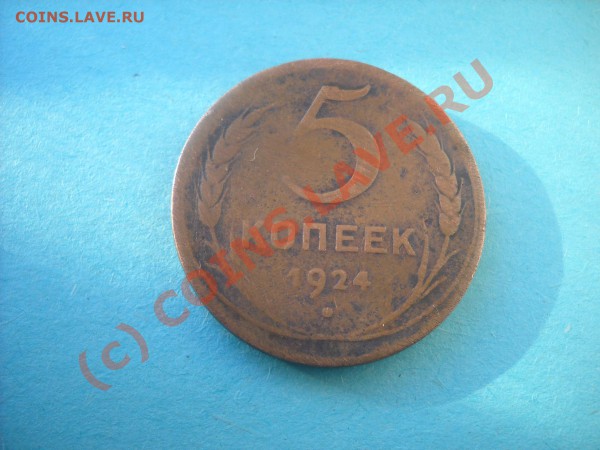 1 коп. 1925 и 5 коп 1924 - огород 009