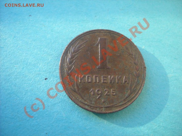1 коп. 1925 и 5 коп 1924 - огород 008