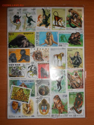 Марки ОБЕЗЬЯНЫ, 25 штук, разные, до 07.12.2014 - DSCN5002.JPG