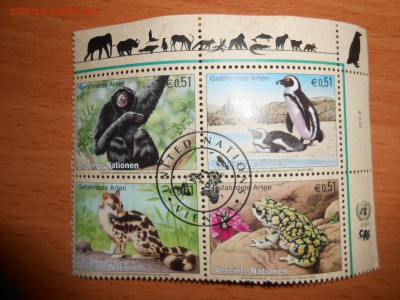 Марки ФАУНА, фикс, 9 сцепок - DSCN5023.JPG