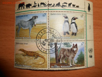 Марки ФАУНА, фикс, 9 сцепок - DSCN5020.JPG
