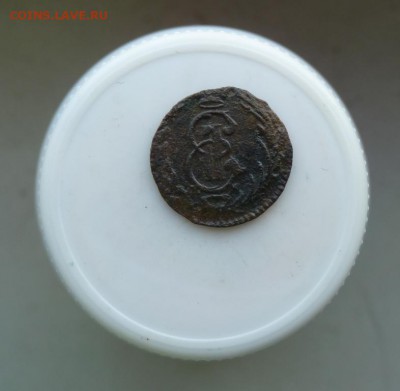 Полушка сибирка 1771 до 4.12 - P1090619.JPG