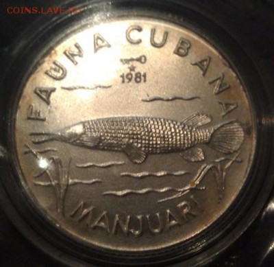 Предпродажная оценка для аукциона. Монет со всего мира.МНОГО - KM#84 MANJUARI - silver 5 pesos