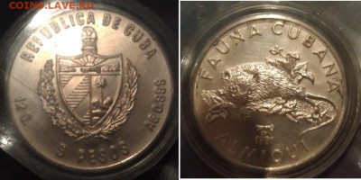 Предпродажная оценка для аукциона. Монет со всего мира.МНОГО - KM#83 ALMIQUI - silver 5 pesos