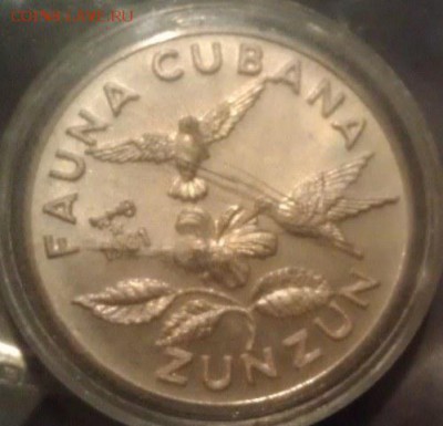 Предпродажная оценка для аукциона. Монет со всего мира.МНОГО - KM#76 ZUNZUN - silver 5 pesos