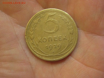 5 копеек 1929 ---------------- 08.12.14, в 22.10 - IMG_3428.JPG