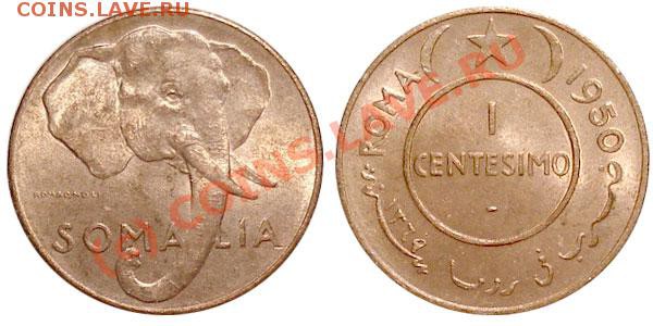 Животные на монетах - Итальянское Сомали, 1 чентезимо 1950