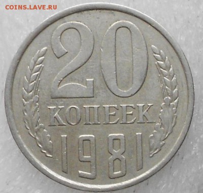 20 копеек 1981 шт.3.1 Ф-142 до 06.12.14 - 01.12.14 027.JPG
