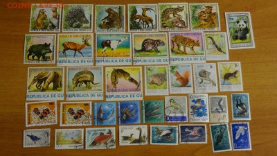 Марки мира (Фауна) до 07.12. в 22:00 МСК - DSC02869.JPG