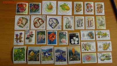 Марки мира (Флора) до 07.12. в 22:00 МСК - DSC02872.JPG