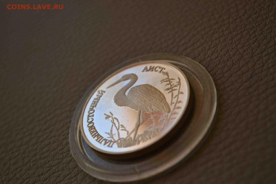 1 Рубль 1995г. Дальневосточный аист - DSC_0477_1