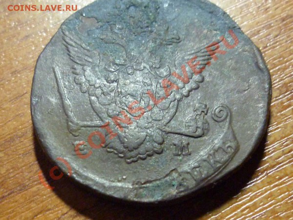 Посмотрите орла 1778, интересует низ хвоста - P1000256.JPG