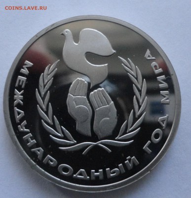 Год мира новодел до 06.12.2014 г. 22:00 МСК - DSC09318.JPG