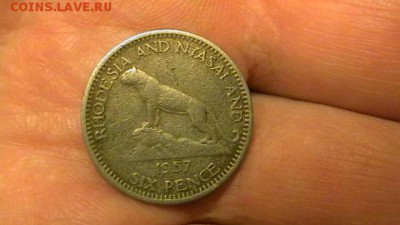 Британ родезия и Ньясаленд 6 пенс-Львица 1957 до 06,12,14 по - IMGA0172.JPG