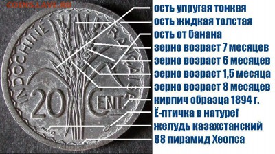 Индокитай - классификация монет Индоказахстана.JPG