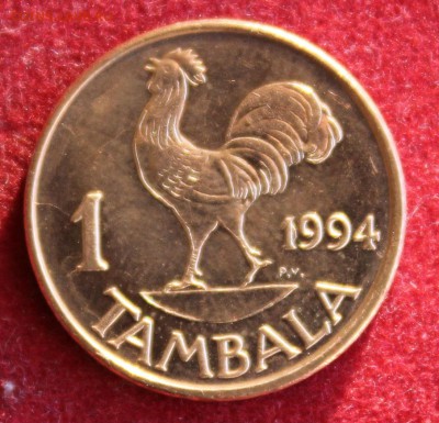 С 1руб. МАЛАВИ 1 тамбала 1994г. ПЕТУШОК до 10.12.14г.в 22-00 - IMG_2792.JPG