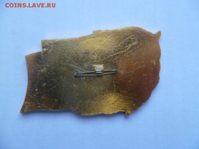 значок чаэс - P1050375.JPG