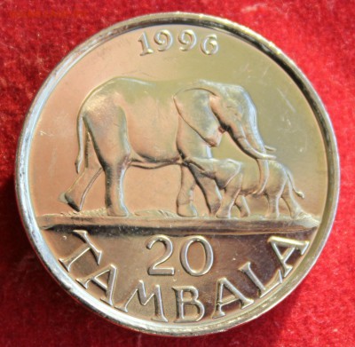 С 1руб. МАЛАВИ 20 тамбала 1996г. СЛОНЫ до 10.12.14г.в 22-00 - IMG_2787.JPG