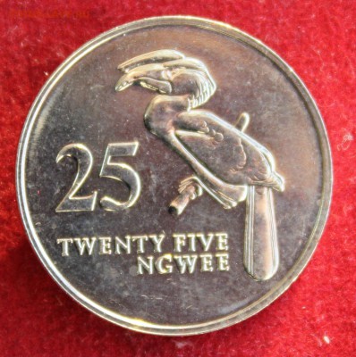 С 1руб. ЗАМБИЯ 25 HGWEE 1992г. ПТИЦА до 10.12.14г.в 22-00 - IMG_2779.JPG