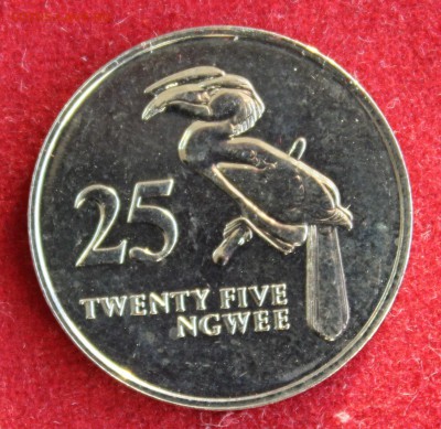 С 1руб. ЗАМБИЯ 25 HGWEE 1992г. ПТИЦА до 10.12.14г.в 22-00 - IMG_2777.JPG