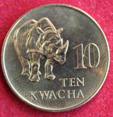 С 1 руб. ЗАМБИЯ 10 KWACHA 1992г.НОСОРОГ  до 10.12.14г.в 22-0 - IMG_2732.JPG